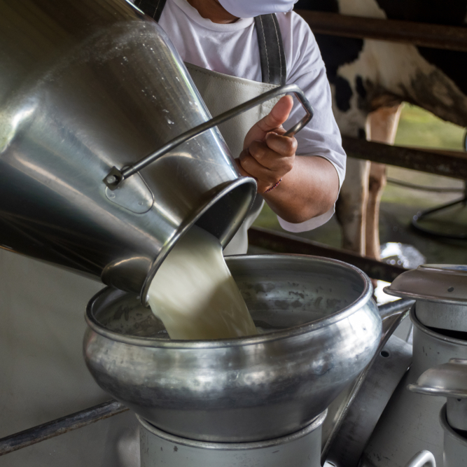 fresh raw milk bottle filling capping machine tetripak machine (2)
