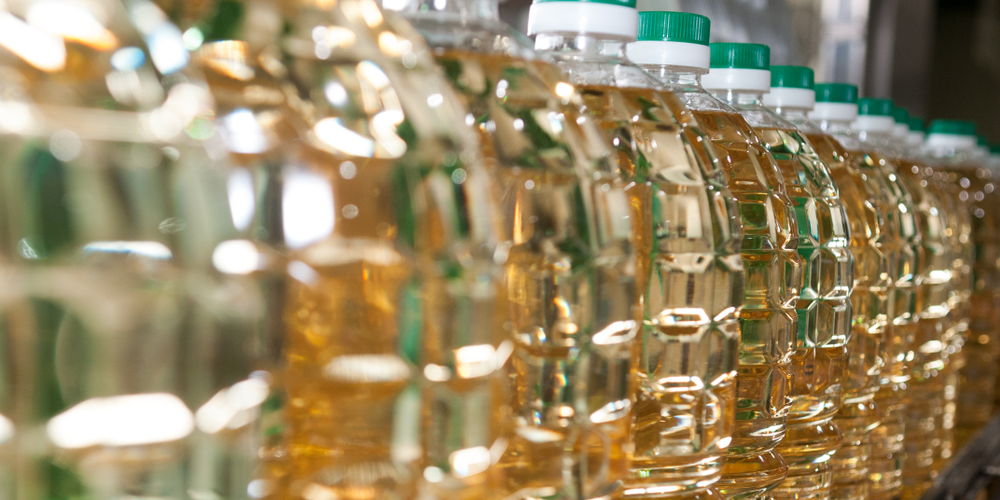 zeytinyağı dolum makinası 1